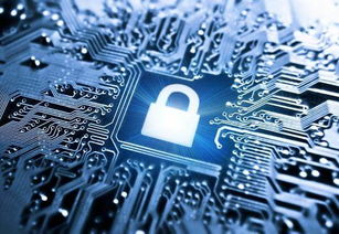 科技巨頭全面押注AI 對上海軟件開發(fā)的深刻啟示